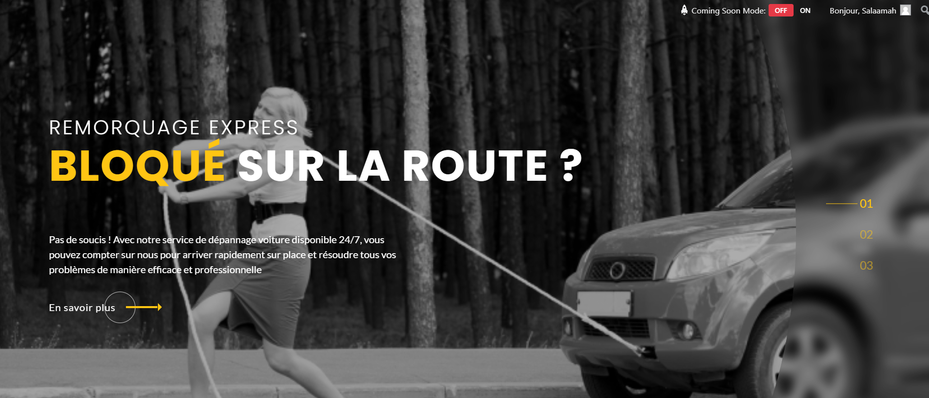 Création du site Team Dépannage – webdesign et identité visuelle réalisés par Swagner